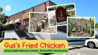 Is Gus's Fried Chicken the PERFECT Fuel for a Hike at Ijams in Knoxville?