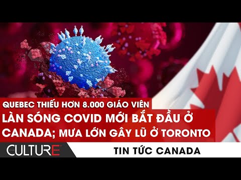 Video: Điện thoại Ting của tôi có hoạt động ở Canada không?