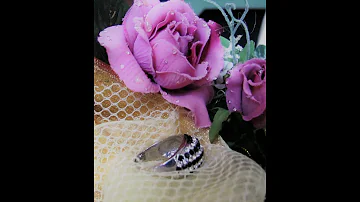 Che Nozze sono 49 anni di matrimonio?