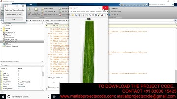 Paddy Leaf Disease Classification Using SVM