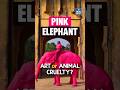 Pink Elephant Controversy | Art or Animal Cruelty? | Shocking Truth Explained | NEXT IAS
