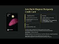 Best Premium Credit Cards in India 2025 | Axis Magnus Burgundy &amp; More
