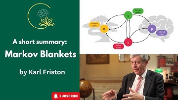 A short summary of Markov blankets: by Karl Friston