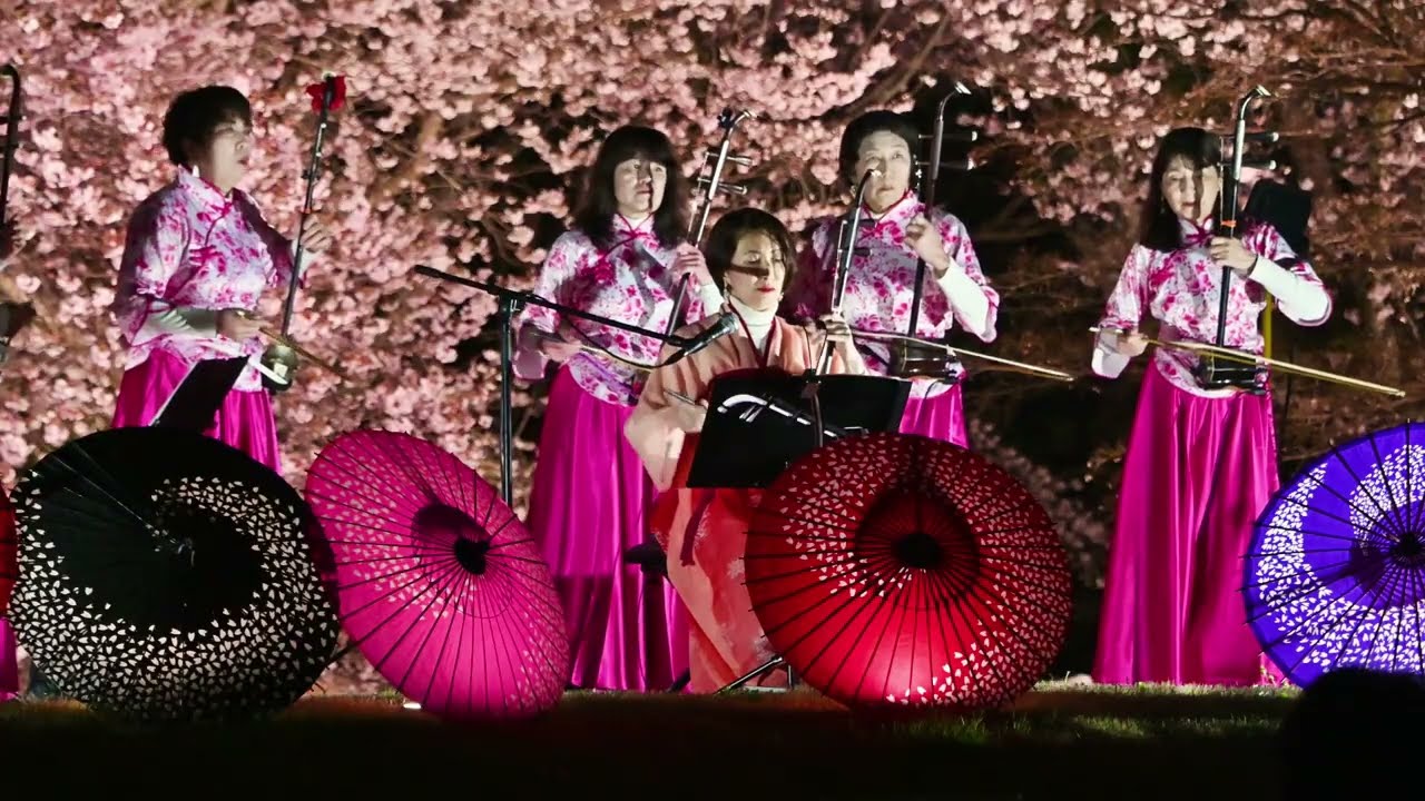 夜桜×二胡コンサート2026 - YouTube