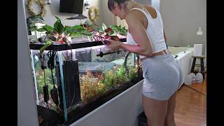 Tank Update: Propagating Plants in My 55 Gallon Aquarium