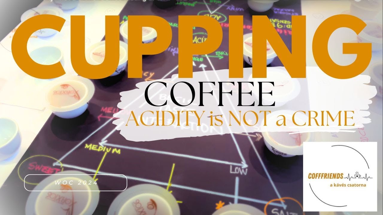 Coffee and acidity – not a crime! Coffee tasting at WOC 2024.