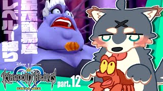 最弱の俺でも君を救えたら：１２【キングダムハーツHD1.5+2.5リミックス】