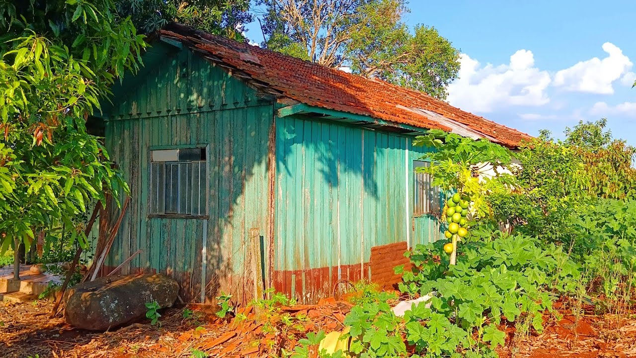 Homem Morava Sozinho e Resolveu Por a Banana nas Costas Mas Sentiu uma Picada Diferente no Cangote