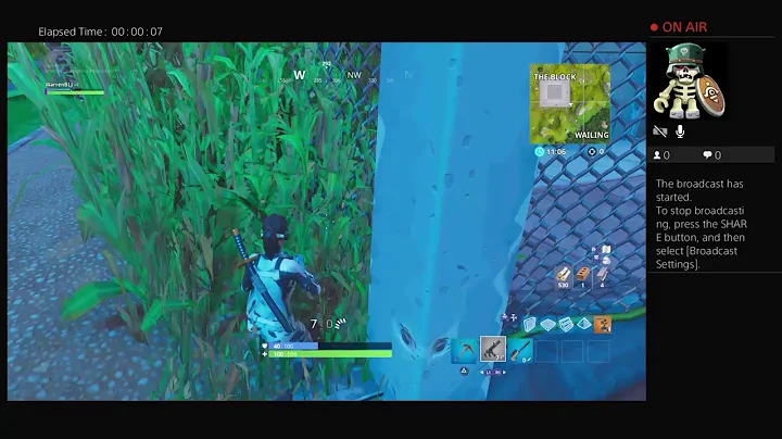 Gameplay With Friends