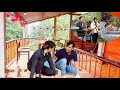 Kitchen railing and wall design - Thuy and Men's 365-day challenge begins _Ly Thanh Thuy 