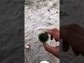 Mini bass jumping test Speaker
