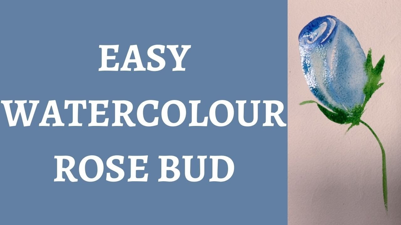 Easy Rose Bud Watercolour Painting tutorial