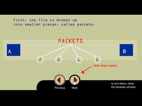 Packet Switching by Khurram Tanvir