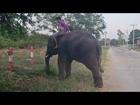 เด็กตาสมบูรณ์พร้อมออกกำลังกาย