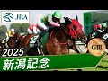 北海道　新潟　記念 2025 Niigata Memorial (GIII) | Shirankedo | JRA Official - YouTube