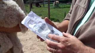 This is a microchip