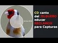 CD canto del Jilguero Educar reclamos para Capturas.Silvestrismo