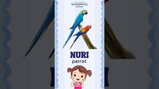 Nama Hewan Huruf N | Belajar Huruf & Hewan 🦟 #namahewan