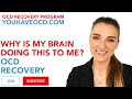 Why Is My Brain Doing This To Me? - PUREO HOCD ROCD POCD Existential OCD HARM FALSE MEMORY OCD
