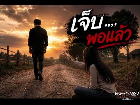 เจ็บ...พอแล้ว (Official Audio)