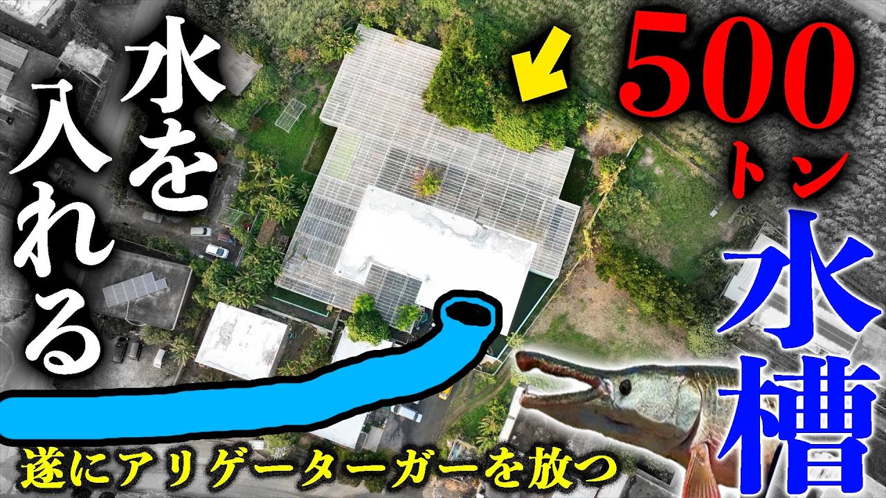 水槽1200引っ越すんで今日中来れる方4万急ぎなんで来られる際はホースお願いします！水抜いて持って帰ってください！前にコメントくれた方でも構いません！とりあえず急ぎなんですぐ来れる方コメントください！ 170m の特大ホースで500トン水槽に水を入れろ！【500トン水槽