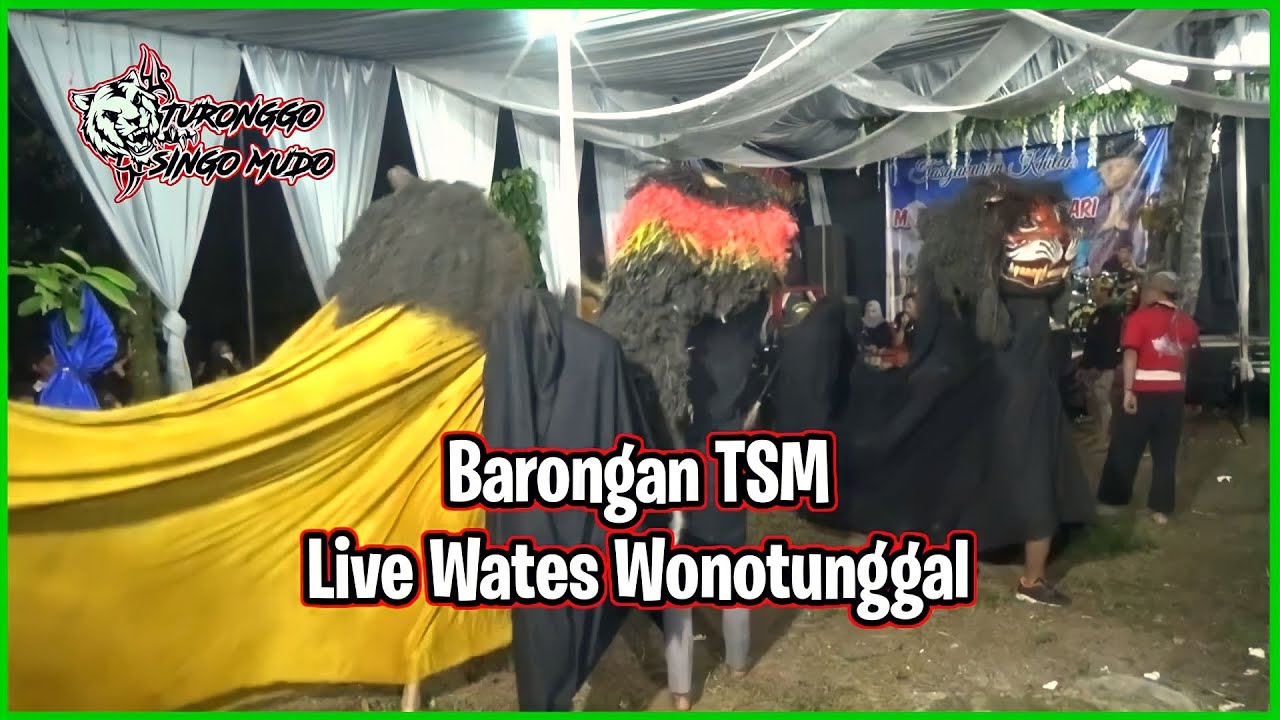 BARONGAN TSM FULL NDADI - LIVE WATES WONOTUNGGAL  BATANG