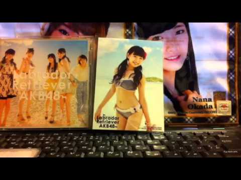 AKB48 ラブラドール・レトリバーtypeB、サプライズ品開封