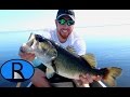 Rwood outdoors  bass explosion