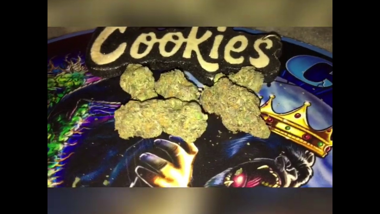 Blue Berner COOKIES ⛽🍪 STRAN  REVIEW