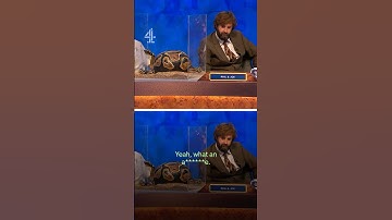 Celebrating Year of the Snake, Joe Wilkinson-style #CatsDoesCountdown #LunarNewYear