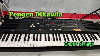 Pengen Dikawin Cover Strings Roland e16 musik sandiwaraan...!!!
