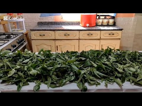 اعملى كدة كل سوق وانتى هترتاحى باقى الاسبوع 