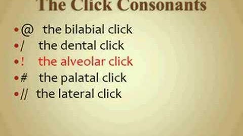 The Five Click Consonants Video