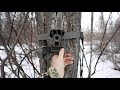 Setting trail cams for whitetails