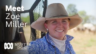 Zoe Miller – passionate about animal welfare and calm, educated stock | Muster Dogs | ABC Australia