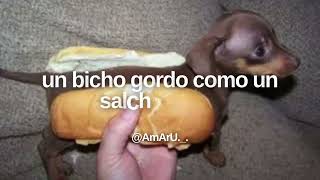 Video thumbnail of ""Perro salchicha, gordo bachicha" 🐶🌭 - Letra (El Show de Perro Salchicha - María Elena Walsh)"