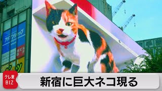 リアル！巨大な3D三毛猫が東京・新宿に出現（2021年7月8日）