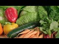 How to Grow Spring Vegetables | Mitre 10 Easy As Garden