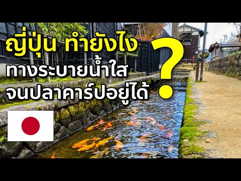 ไขความลับญี่ปุ่นทำไง ทางระบายน้ำใสจนปลาคาร์ปอยู่ได้ การบำบัดน้ำเสีย เที่ยวญี่ป่นต้องรู้ Japan Water