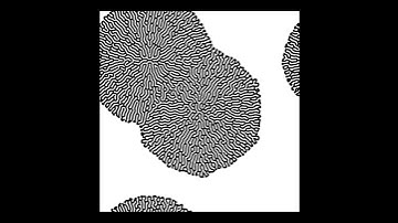 Reaction Diffusion (2) (not realtime)