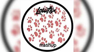 PAWSA - The Groovy Cat (Lowflix Mashup) [FREE DOWNLOAD] Resimi