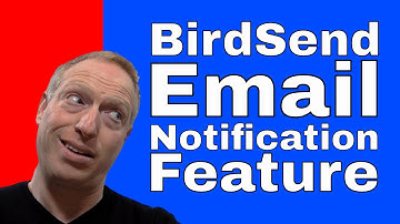 BirdSend Email Marketing | Sales Team Notification Feature