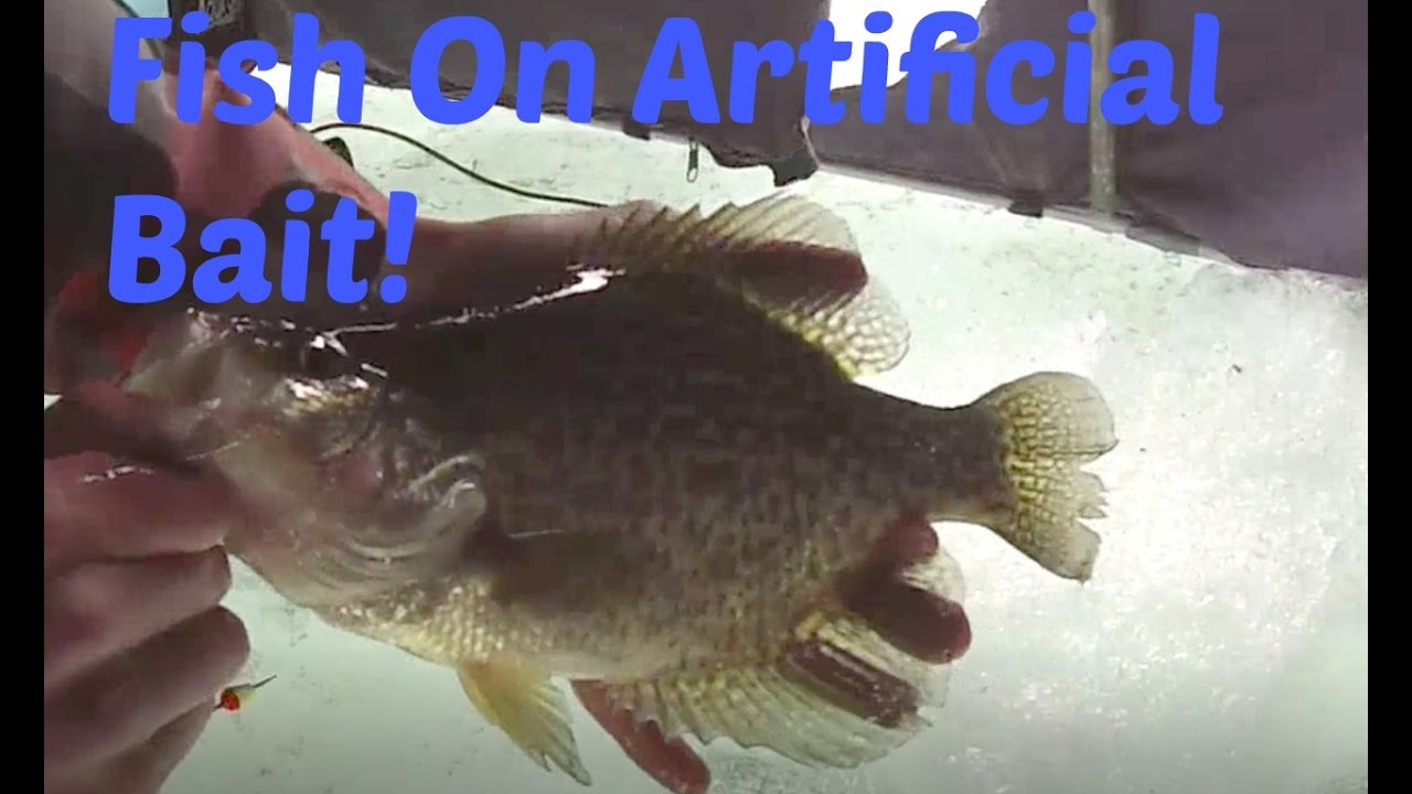 Ice Fishing Using Only Artificial Bait! YouTube