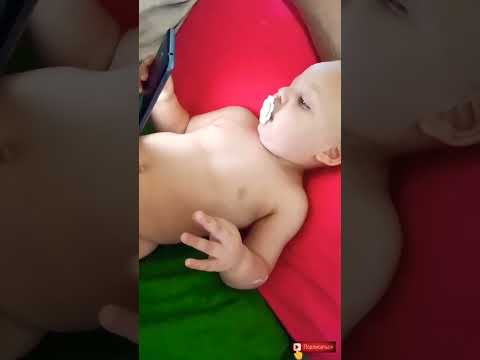 АЛЛО АЛЛО #shorts #фидshorts #ведусвойблог #навкладкевтренде #рекомендацииканала