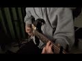 Hachimitsu / the peggies (guitar cover)