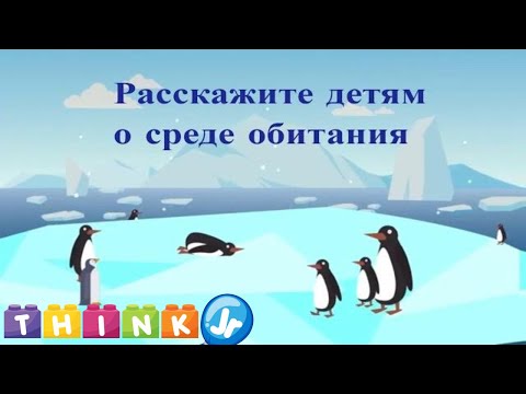 Расскажите детям о средах обитания | наука для детей | ThinkJr