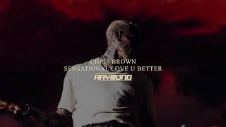 Chris Brown x LL Cool J - Sensational Love U Better (RAYMOND Mashup)