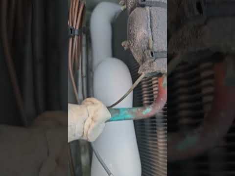 TRAULSEN REFRIGERATOR evaporator freezing up. #appliancerepair #traulsen #refrigeratorrepair
