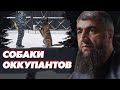 Собаки оккупантов