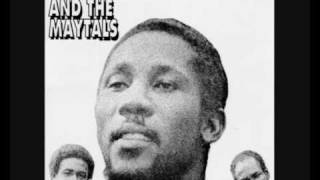 Toots And The Maytals   54 46 Thats My Number